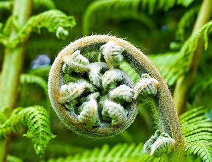 Maunga Iti - Wellness Retreat Tutukaka New Zealand Walking and Hiking on the Tututkaka Coast