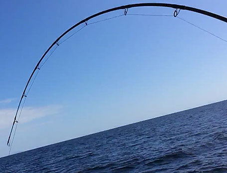 Maunga Iti - Wellness Retreat Tutukaka New Zealand fishing on the Tututkaka Coast