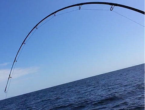 Maunga Iti - Wellness Retreat Tutukaka New Zealand fishing on the Tututkaka Coast