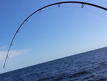 Maunga Iti - Wellness Retreat Tutukaka New Zealand fishing on the Tututkaka Coast
