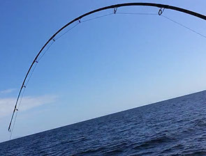 Maunga Iti - Wellness Retreat Tutukaka New Zealand fishing on the Tututkaka Coast